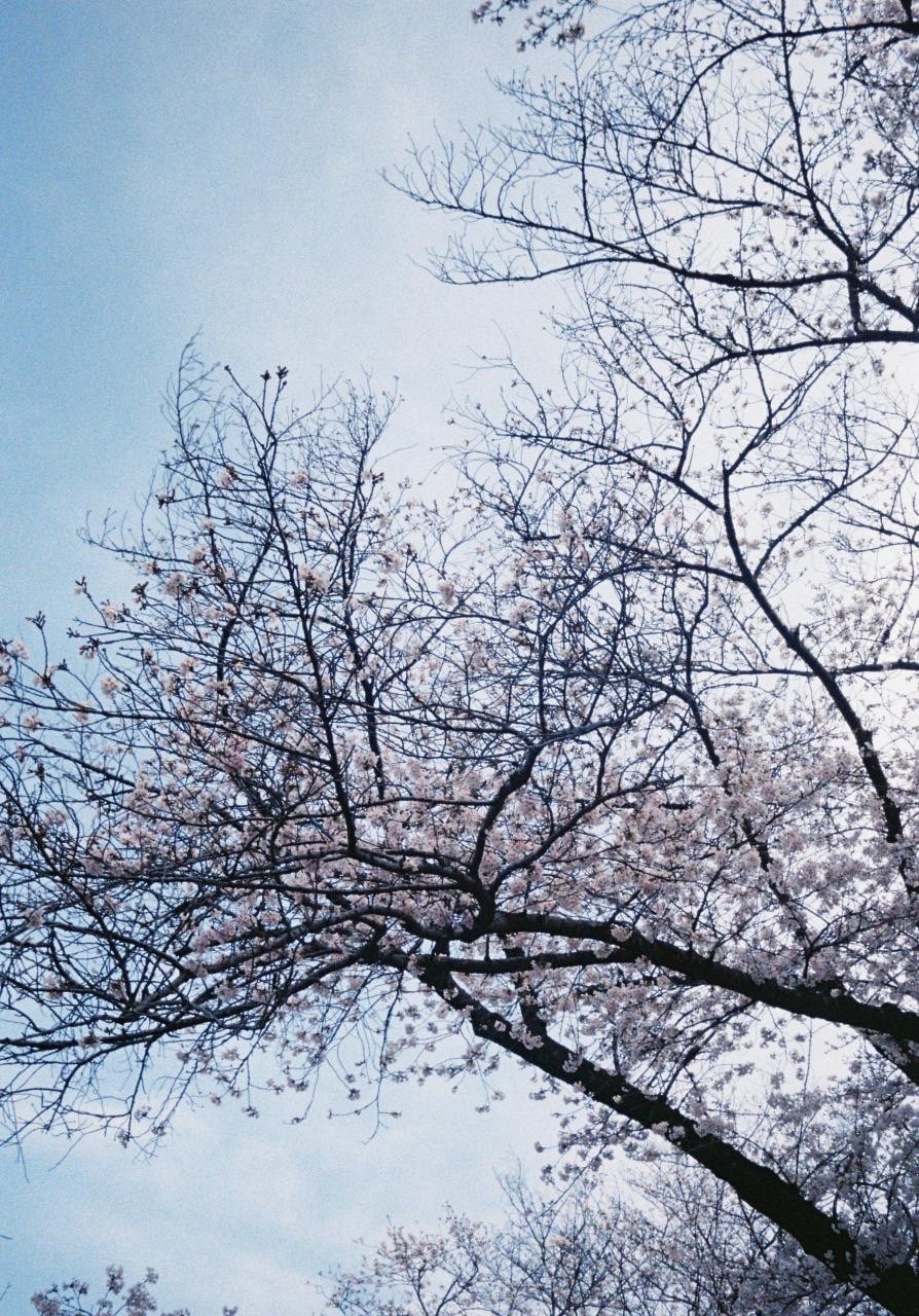 初稿〜心新たに？〜